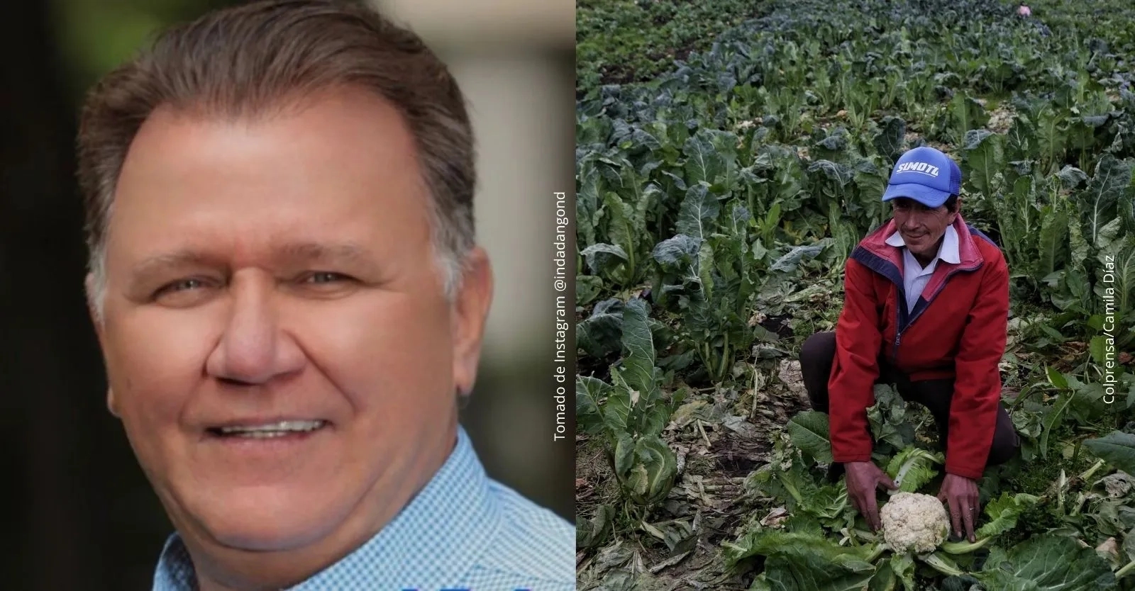 ¿Quién es Indalecio Dangond el nuevo Ministro de Agricultura de Abelardo de la Espriella?