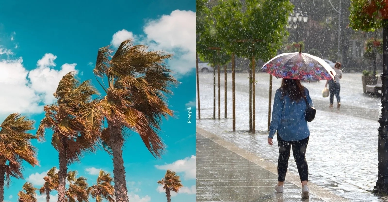 ¡Atención Medellín! Temporada de menos lluvias activa plan de emergencias: estas son las recomendaciones