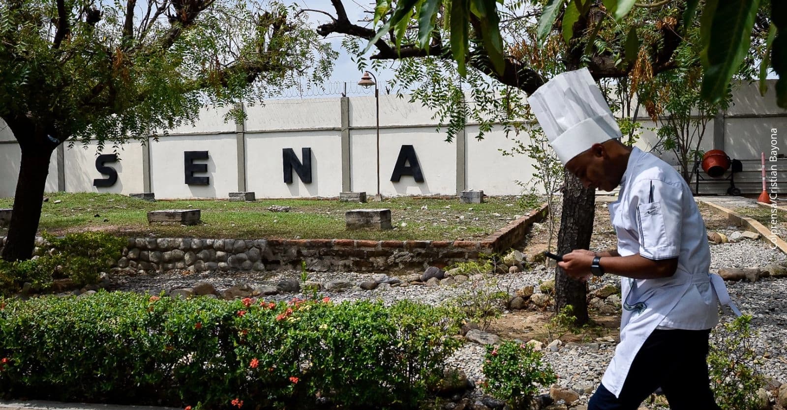 Salario de funcionarios del SENA 2026: ¿Cómo quedaron los sueldos tras el nuevo decreto?