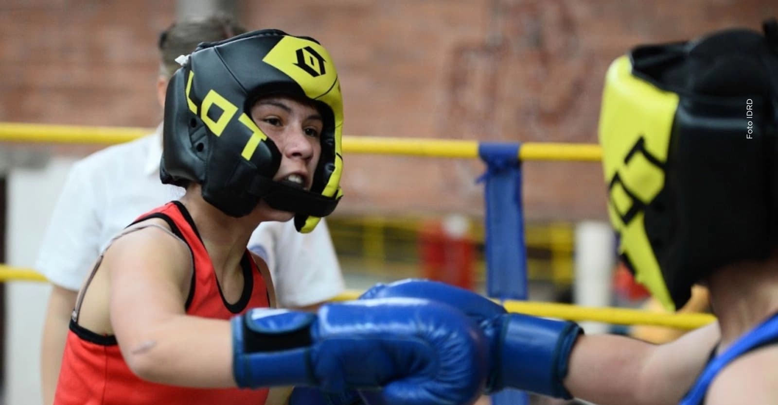 Talentos Deportivos en Bogotá: así puedes acceder al programa del IDRD para impulsar tu carrera