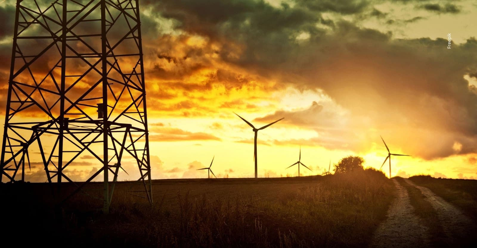 Suspensión de decretos energéticos refuerza el Estado de Derecho, dice Acolgen.