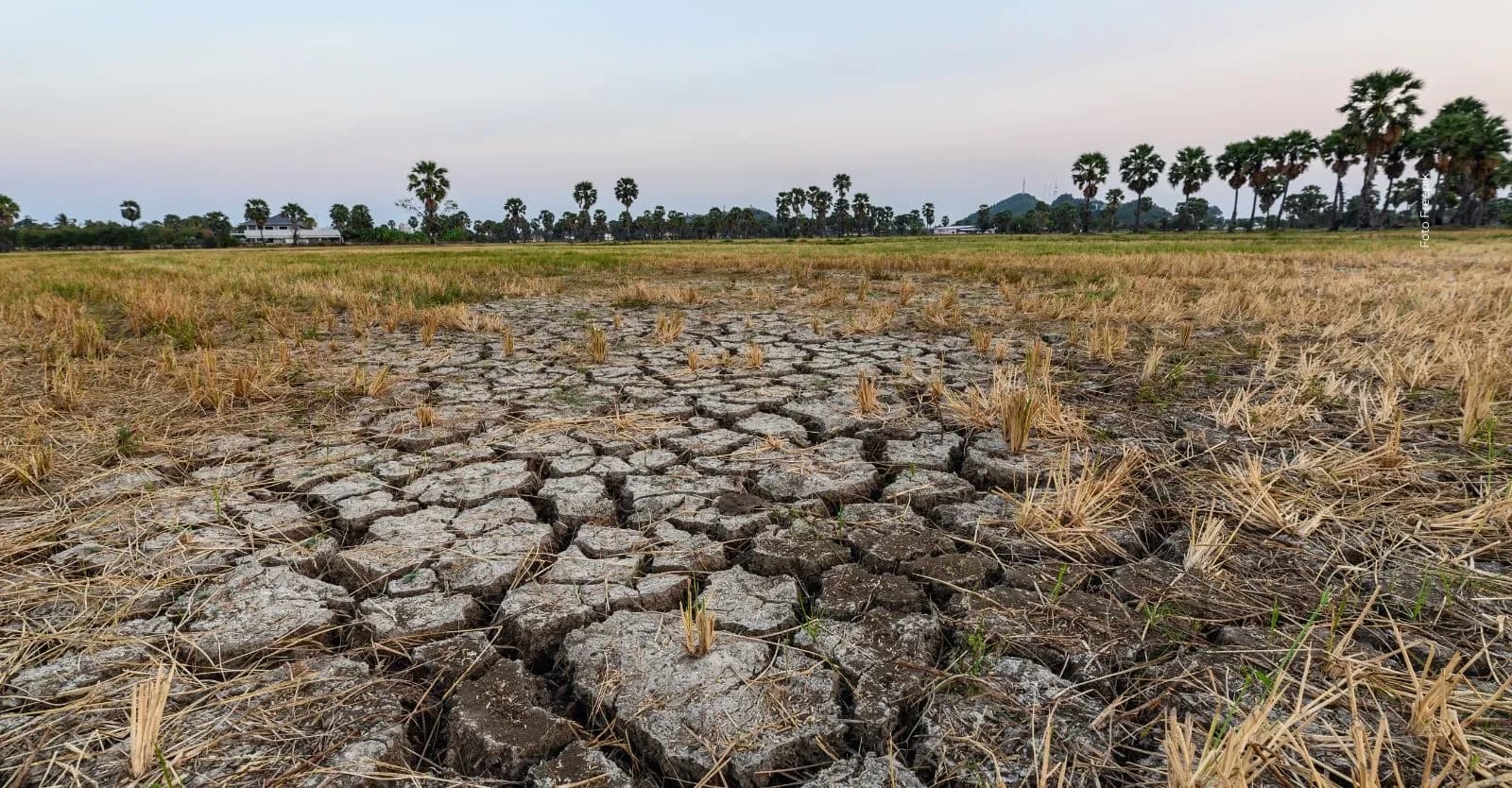 Bogotá podría enfrentar nuevas semanas de sequía: Alcaldía pide ahorrar agua para evitar racionamientos