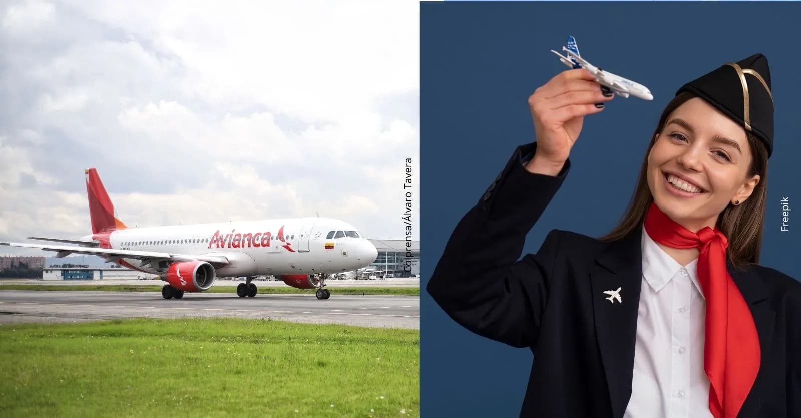 Avianca abrió becas para tripulantes de cabina: ¿Cómo postularse?