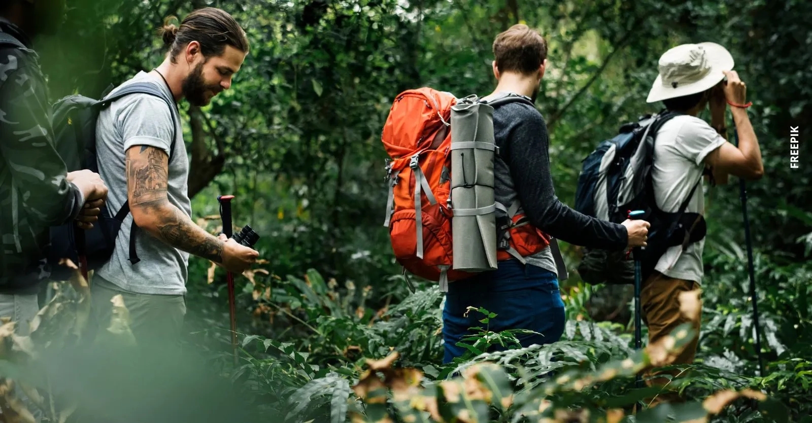 Conoce cómo asistir a las caminatas ecológicas gratis en Bogotá