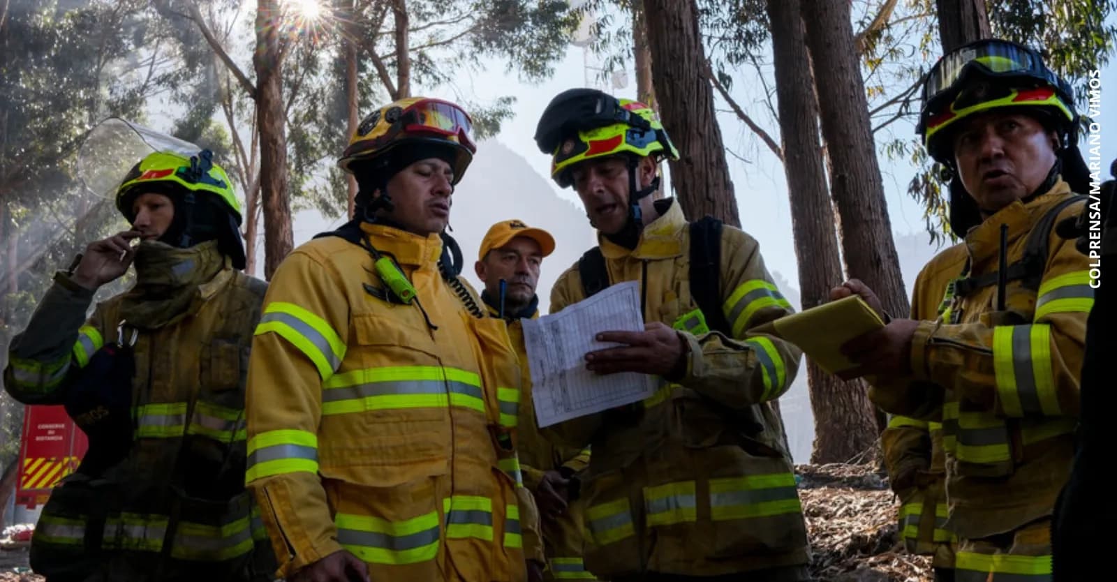 Conoce el paso a paso para prevenir y reportar incendios forestales
