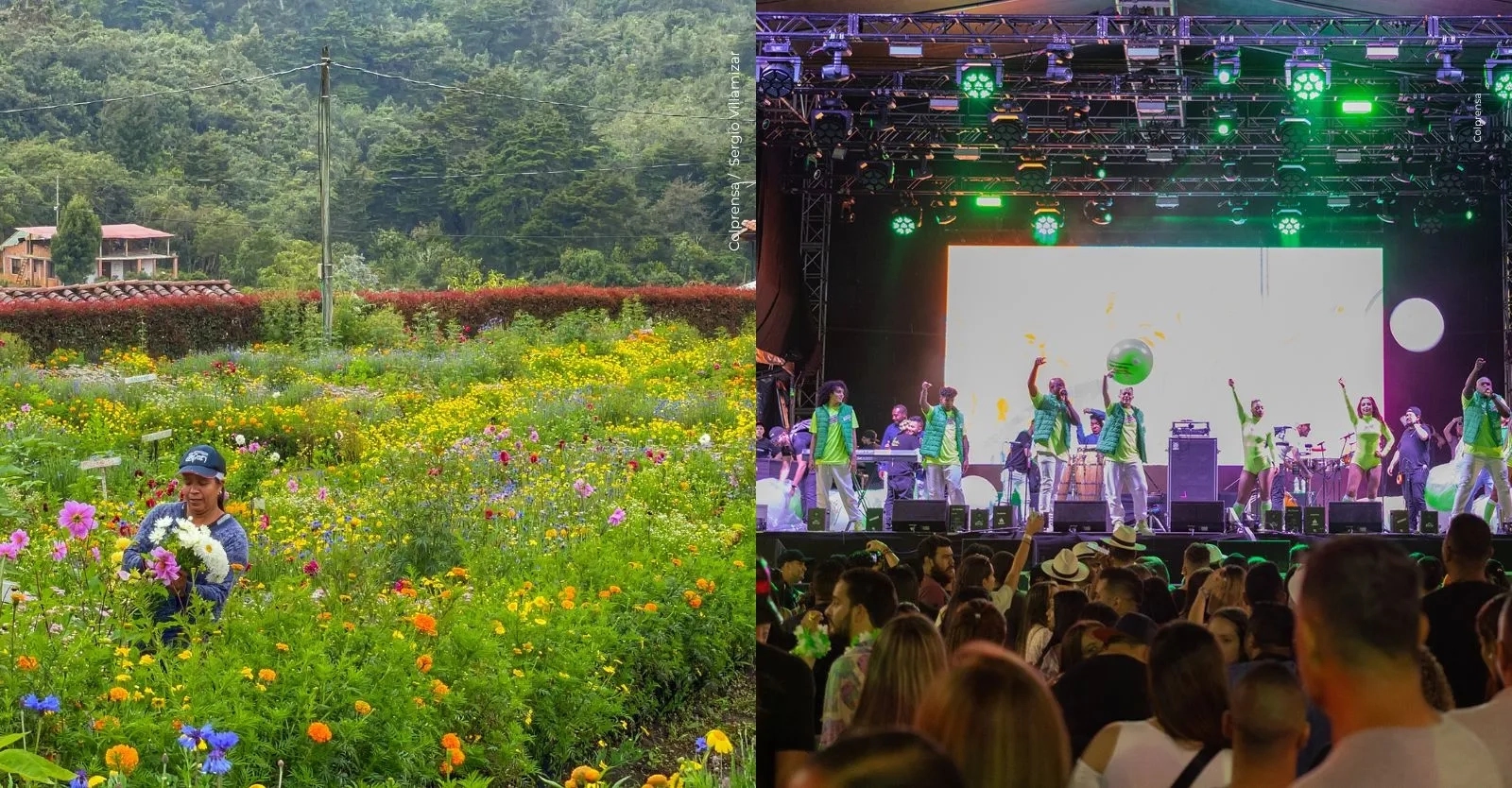 Feria de las Flores Medellín 2026: programación oficial, fechas, artistas, desfiles y cómo participar en el sorteo de graderías