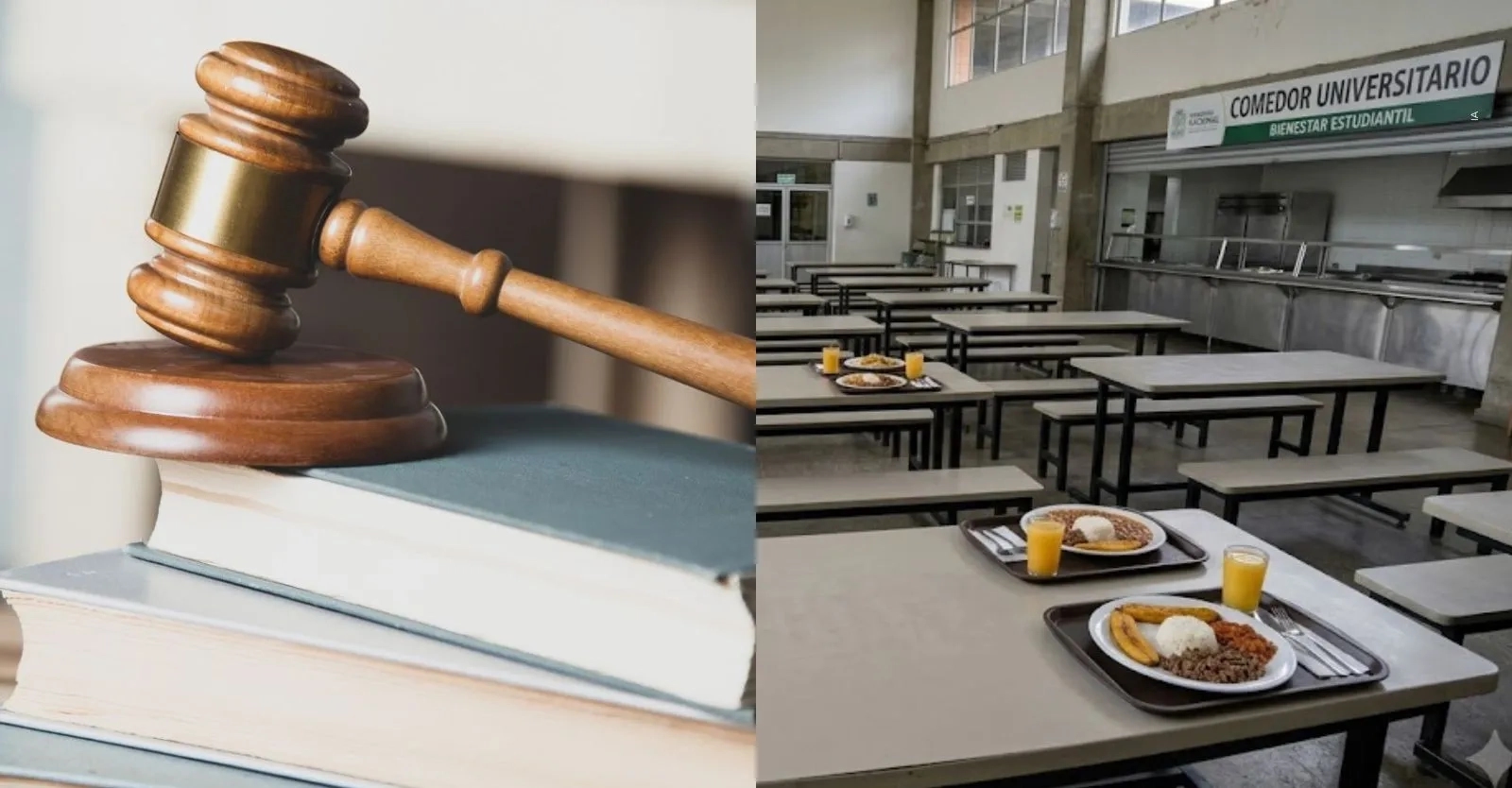 Ley 2618: así funcionará el Programa de Alimentación Universitaria para estudiantes de universidades públicas de Colombia