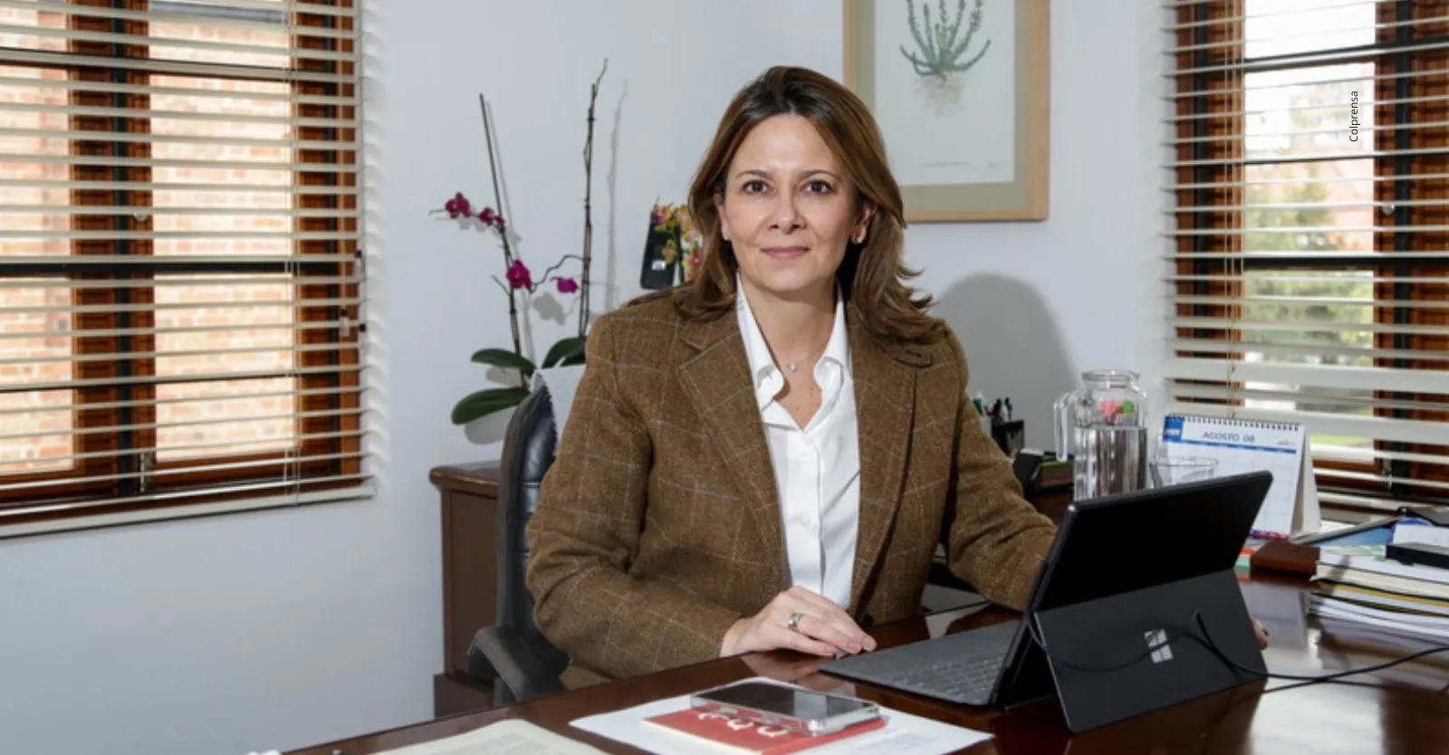 ¿Quién es Ana María Vesga, la nueva ministra de Salud de Abelardo de la Espriella?