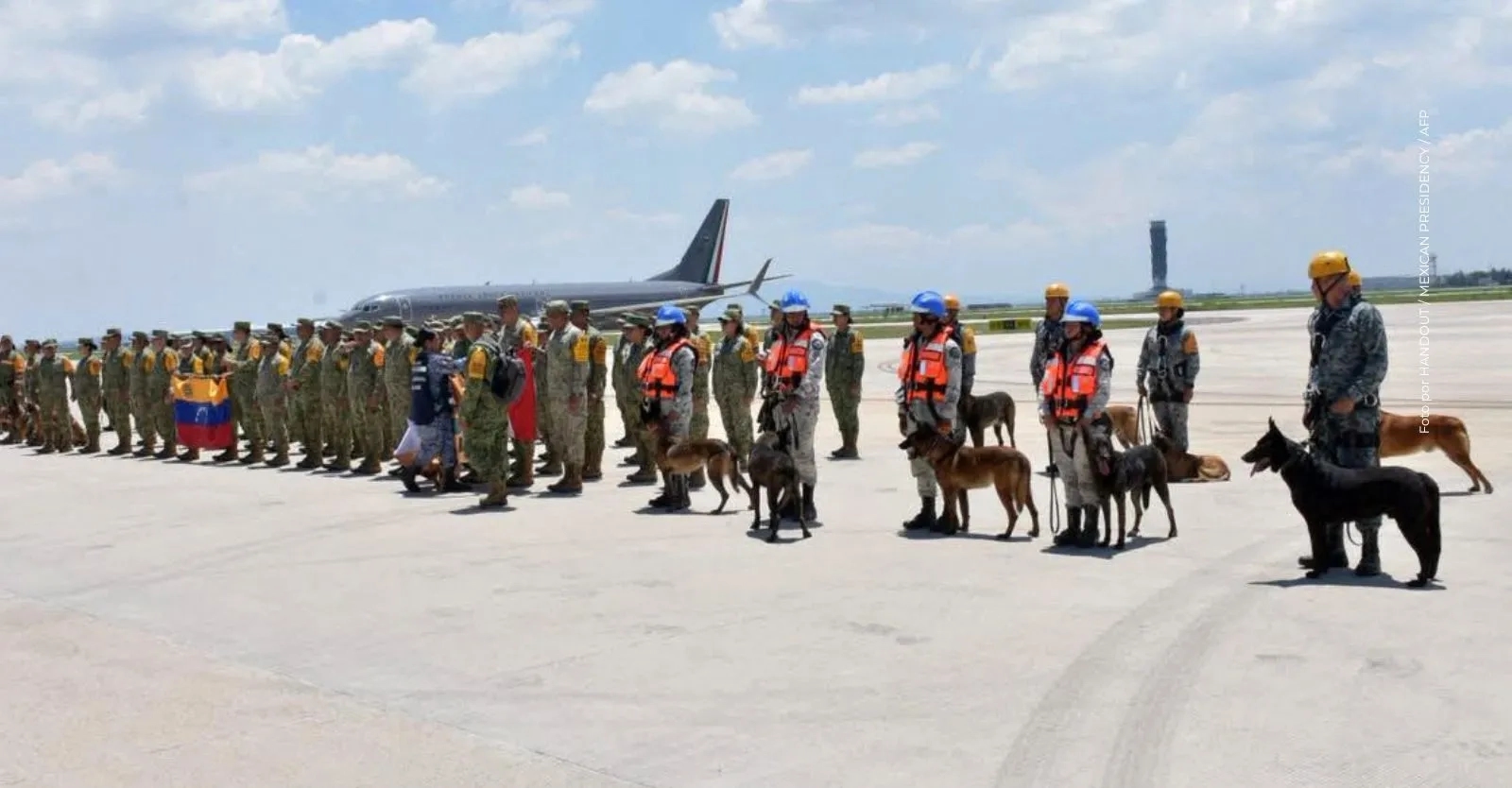 Perros rescatistas en Venezuela: los héroes de cuatro patas que ayudan a salvar vidas tras el doble terremoto