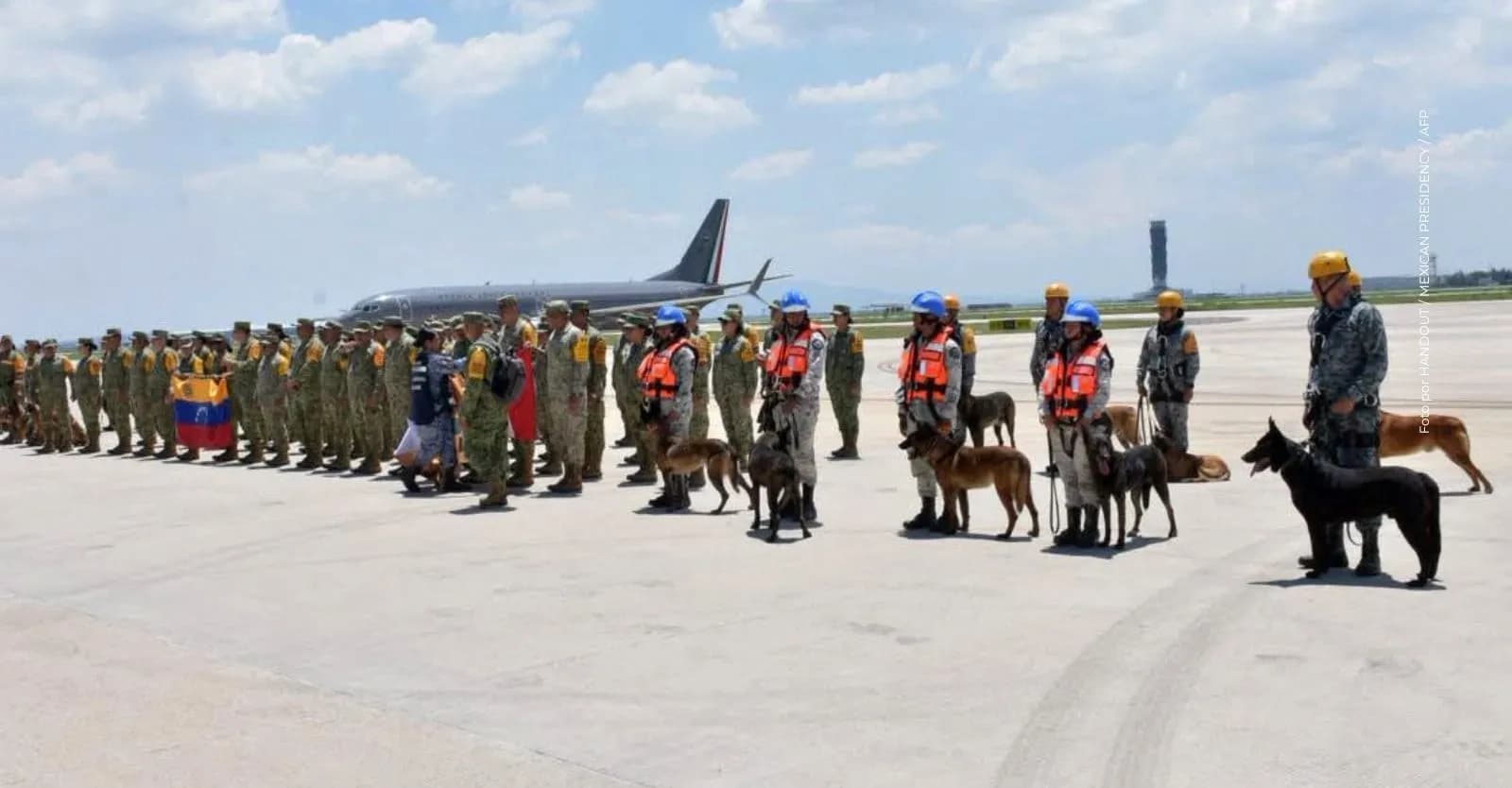 Perros rescatistas en Venezuela: los héroes de cuatro patas que ayudan a salvar vidas tras el doble terremoto