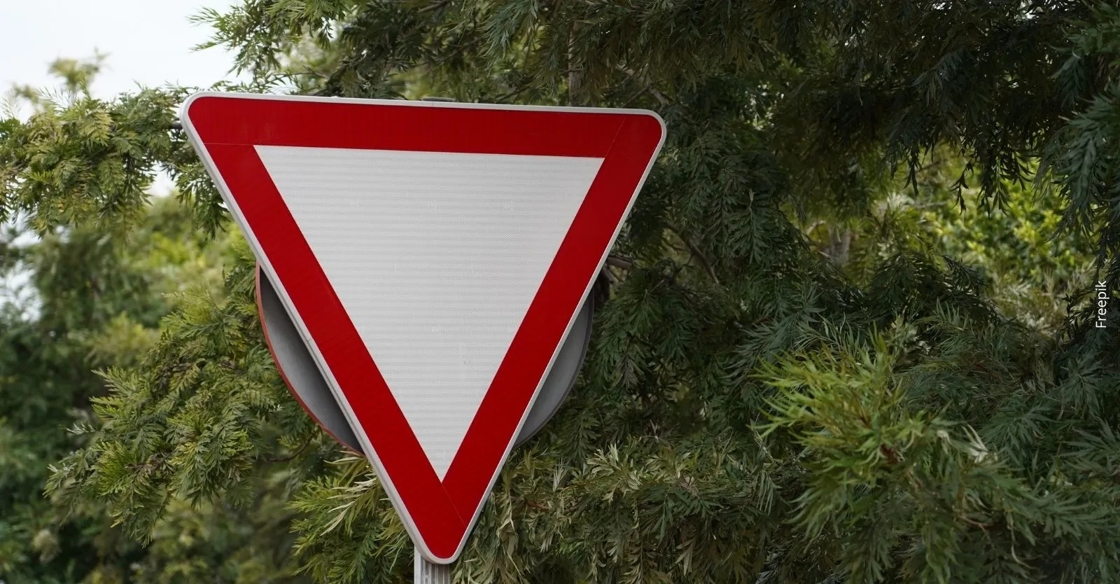 ¿Qué significa la señal de tránsito que posee un triángulo blanco?: Así debe actuar un conductor al encontrarla